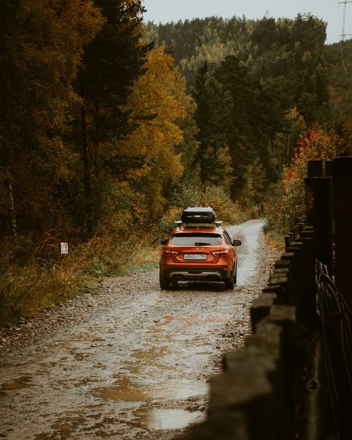 Car driving down a forest road in autumn, surrounded by vibrant foliage.